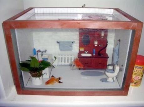 Ten Tips for Keeping Your Small Fish Tank Clean Ten Tips for Keeping Your Small Fish Tank Clean