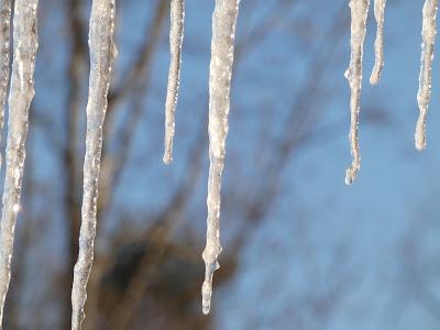 Icicles