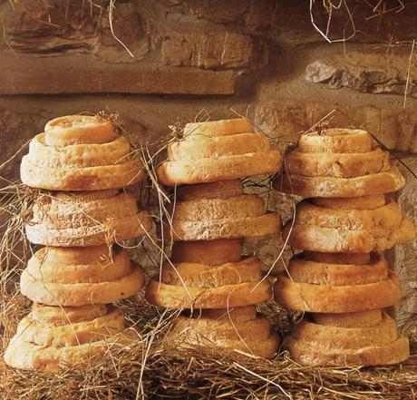 From Maggots to Mould: Ten of the Strangest Cheeses on Earth Montebore Cheese