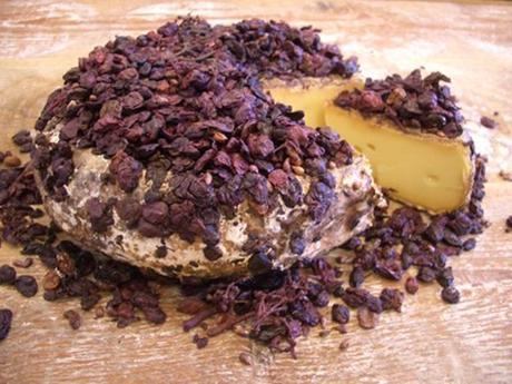 From Maggots to Mould: Ten of the Strangest Cheeses on Earth Tomme Au Marc De Raisin