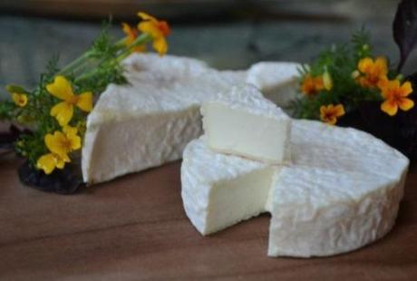 From Maggots to Mould: Ten of the Strangest Cheeses on Earth Ewe Bloom Cheese