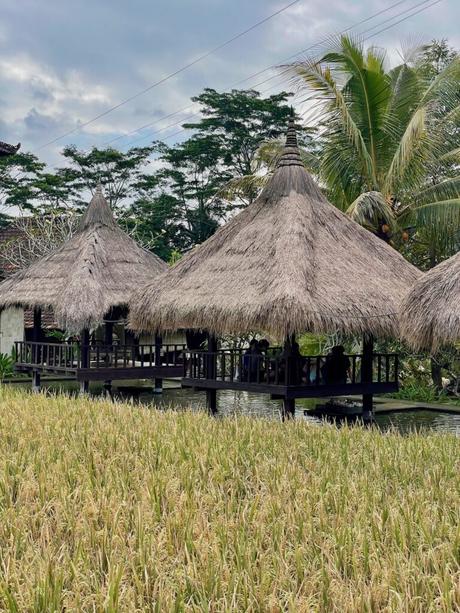 20 Best Places to Visit in Bali Two thatched-roof pavilions on stilts, standing over water, with a rice field and tropical trees in the background.