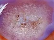 Discover Druzy Agate Heart: Formation, Meanings, Geode Benefits