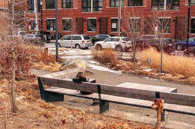 A gloomy Sunday afternoon with the sun high in the sky (behind clouds)