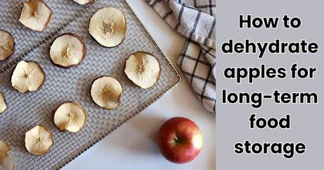 How to Dehydrate Apples for Long-Term Food Storage How to Dehydrate Apples for Long-Term Food Storage