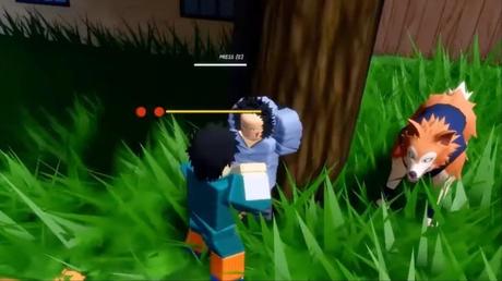 Kaba NPC In Ninja Time