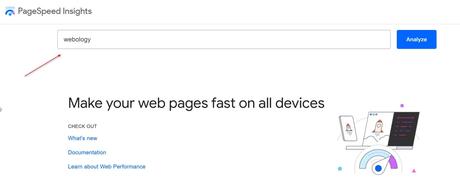 How Can Hospitals Increase Their Market Share Through SEO: Boost Your Hospital’s Marketing a screenshot of a browser window showing PageSpeed insights