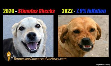 Tennessee Stimulus 2022
