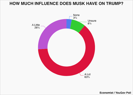 Voters Don't Like The Amount Of Influence Musk Has On Trump