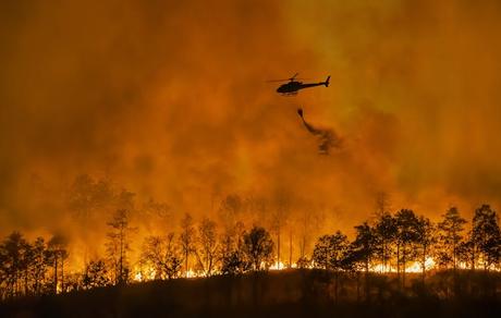 Trump’s asinine war on climate science is pushing us into a dystopian future Trump’s asinine war on climate science is pushing us into a dystopian future