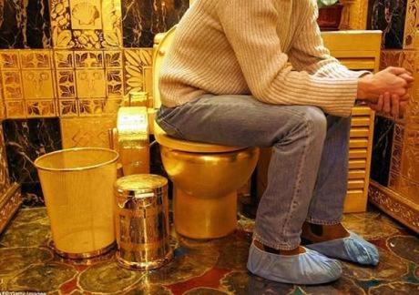 Sit in Style: Ten of The Most Unusual Toilets in the World Solid Gold Toilet