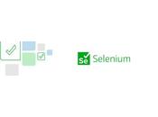 Gauge Selenium Comparison Testing Frameworks