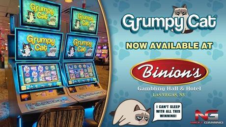Ten Wild Slot Machine Themes You Won’t Believe Exist Grumpy Cat & Meme Slots
