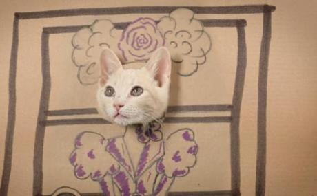 Cat art in the style of the Hunger Games