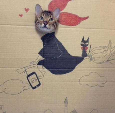 Cat art in the style of a Witch