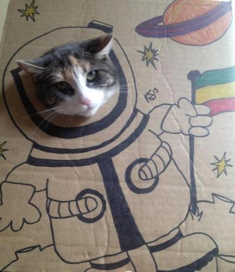 Cat art in the style of a Spaceman