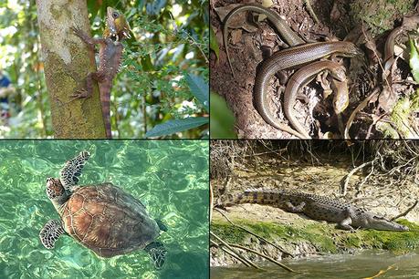 The 22nd Sydney Marathon π¦πΊ The 22nd Sydney Marathon π¦πΊ