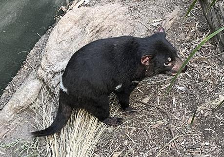 The 22nd Sydney Marathon π¦πΊ The 22nd Sydney Marathon π¦πΊ