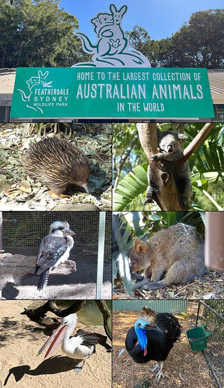 The 22nd Sydney Marathon π¦πΊ The 22nd Sydney Marathon π¦πΊ