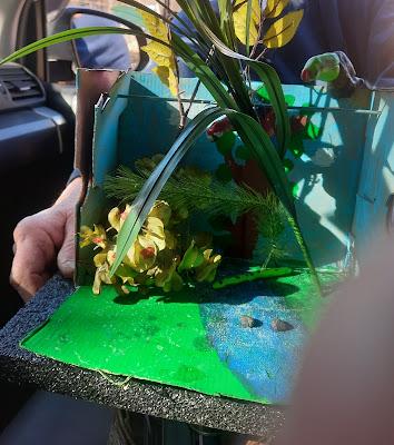 Josie's Rainforest Diorama