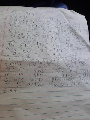 Josie's Rainforest Diorama