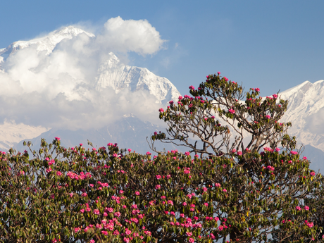 poon-hill-view-1024x768