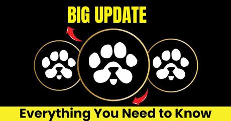Paw's airdrop update Paw's airdrop update