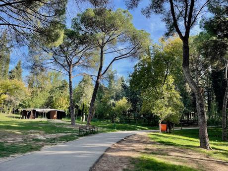 14 Best Things To Do In Tirana (& Surrounding Area) A peaceful pathway winding through the Grand Park of Tirana, lined with tall pine trees and lush greenery. A wooden structure is visible in the background, adding to the natural charm.
