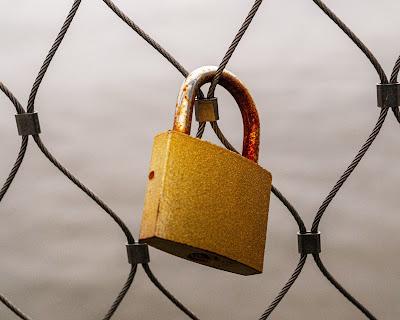 From yesterday's walk along the Hudson