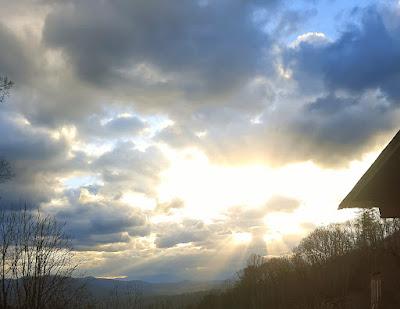 Tearing My Hair and Whining