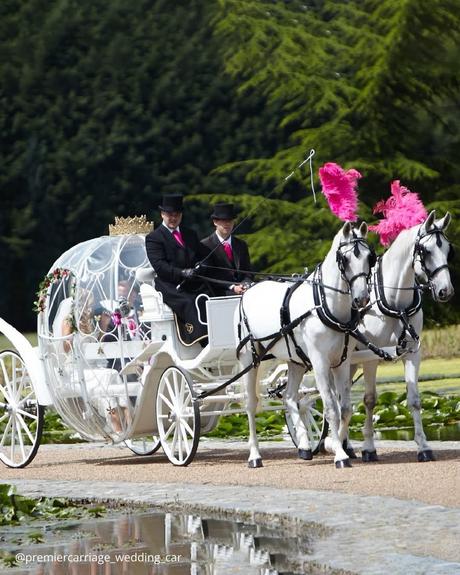 wedding car hire london retro wedding carriage with white horses transparent horse carriage with pink feathers premiercarriage wedding car