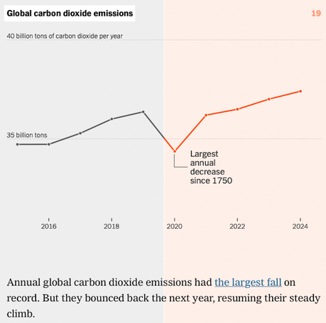 A Few Charts On How Covid Changed The U,S, In 2020