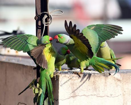 Anger not good for people ! - good for a Company !! Anger not good for people ! - good for a Company !!