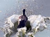 Reward Reinforcement Learning Turing Award 2024