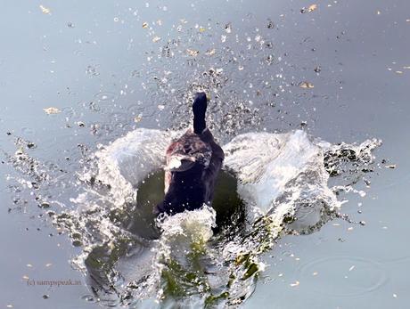 Reward - Reinforcement learning and Turing Award 2024 Reward - Reinforcement learning and Turing Award 2024