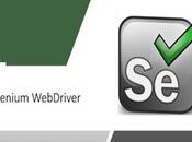 Advanced Selenium Techniques