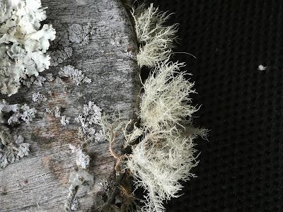 A Closer Look A Closer Look