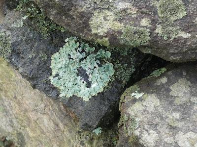 A Closer Look A Closer Look