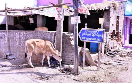 துபாய் குறுக்குச் சந்து & a Straight STreet !!!! துபாய் குறுக்குச் சந்து & a Straight STreet !!!!