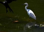 Colour Photo Black White Subject Matter