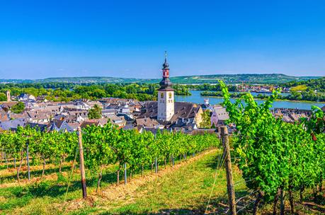Your Guide to Europe’s Best Wine Regions