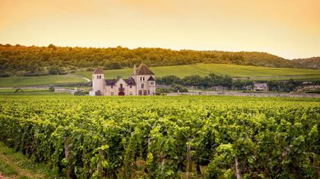 Your Guide to Europe’s Best Wine Regions
