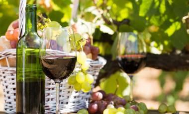 Enchanting Travels Spain Tours Wine