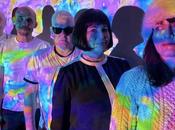 Jetstream Pony: Bowerbirds Blue Things