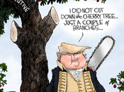 Only Couple Branches