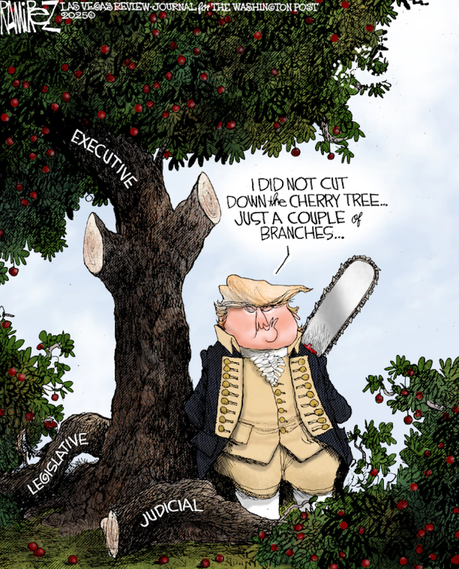 Only A Couple Of Branches