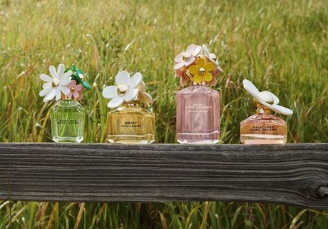 Marc Jacobs Unveils Daisy Wild Eau So Intense: Exclusive Pop-Ups, Custom Gifts & More! Marc Jacobs Unveils Daisy Wild Eau So Intense: Exclusive Pop-Ups, Custom Gifts & More!