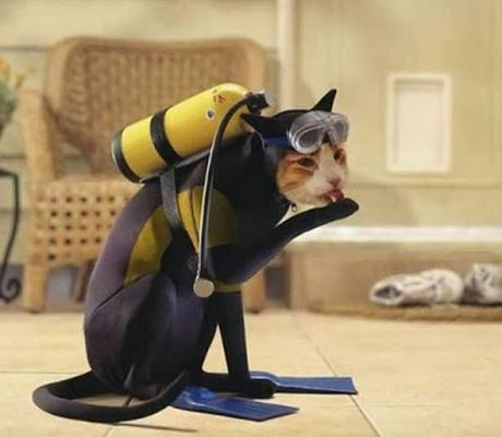 Ten Ways Scuba Diving Will Transform Your Life Ten Ways Scuba Diving Will Transform Your Life