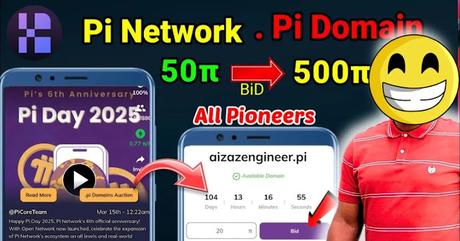 PI network domains PI network domains