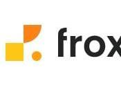 Froxy Review （Avoid Proxy）